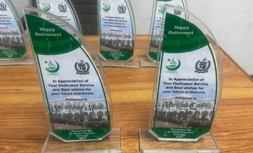 WhatsApp-Image-2025-11-18-at-4.29.32-PM WhatsApp-Image-2025-11-18-at-4.29.32-PM